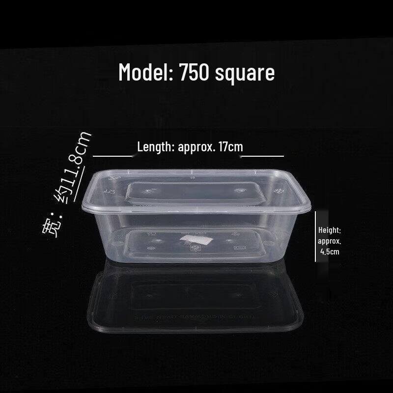 

Rectangular Clear Disposable Plastic Food Containers