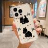 Acrylic Phone Case for iPhone 11 12 13 14 Pro 12 14 16 Pro Max for Samsung A16 A36 A56 S24 FE High-quality Painted Anti-fall Mobile Phone Case