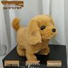Plush Electric Walking & Barking Teddy Dog Simulation Toy for Children