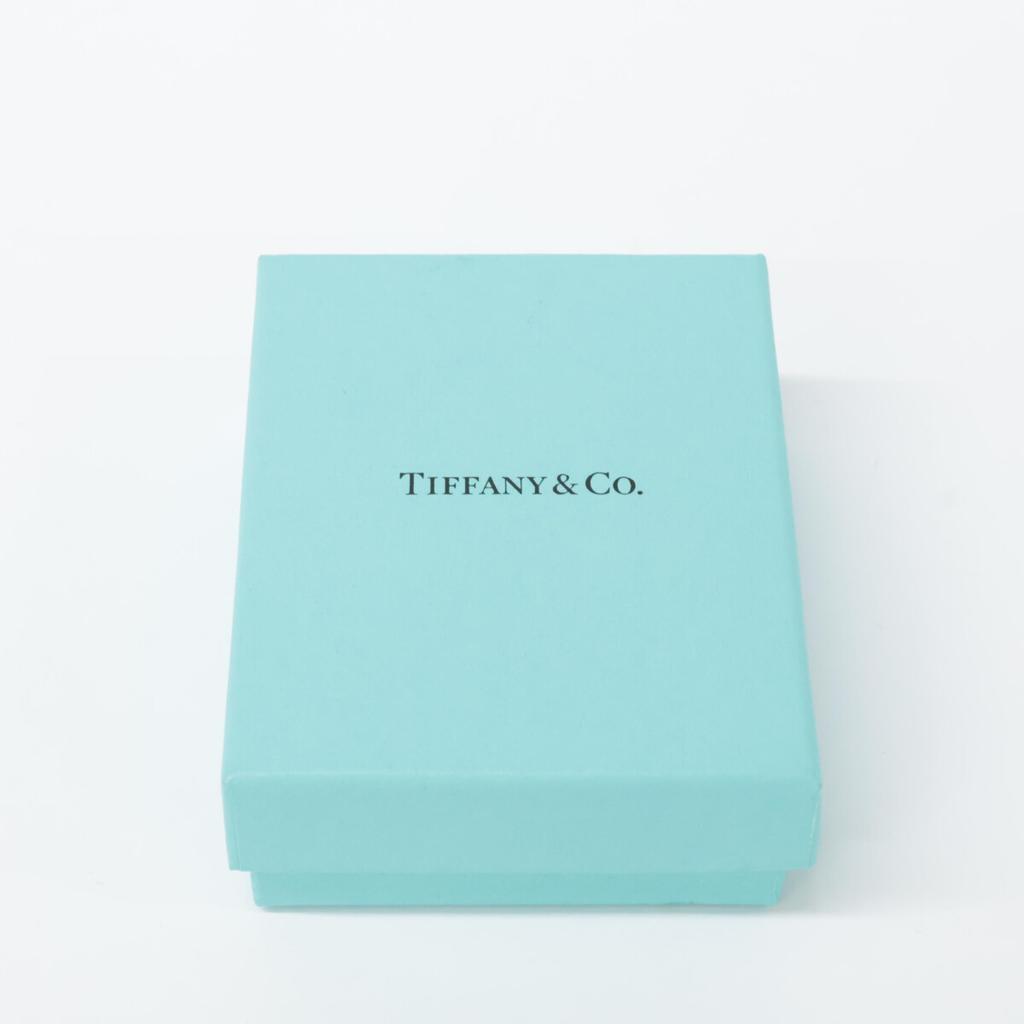 TIFFANY&Co. [Brand New] 925 Donut Link Chain Bracelet SilverUsed