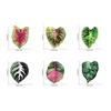 Creative Acrylic Tropical Plant Magnetic Fridge Sticker - Simulation Leaf Design