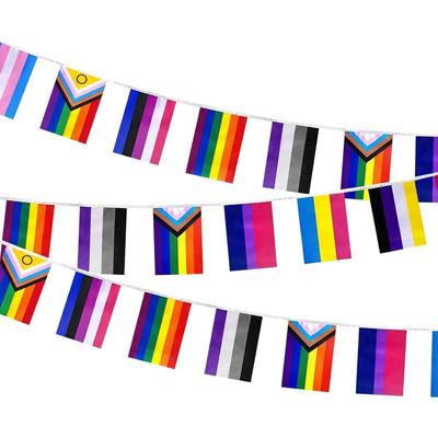 33ft Pride Bunting Flags, Colorful String Banner for Pride Accessories, Home, School, Bars, Restaurants, Garden Decoration