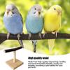 Natural Desktop Stand Pet Parrot Raw Wood Fork Tree Branch Stand Rack Perch PlatformCage Accessories For Parrotlets