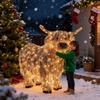 LED Lichtgevend Hooglander Ornament Gloeiend Hooglandvee Beeld Binnen Buiten Tuin Gazon Boerderij Veranda Kerstdecoratie