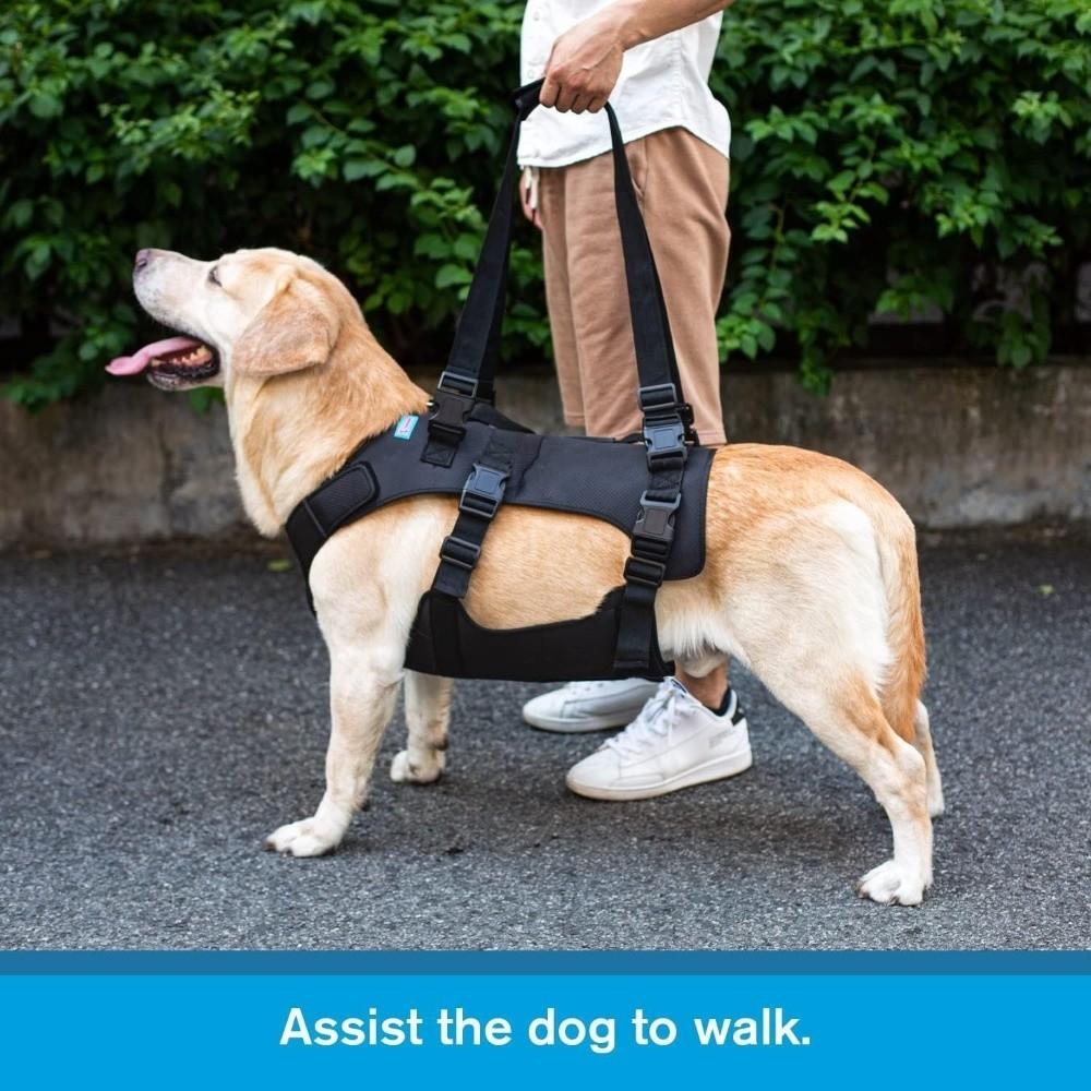 Full Body Support Dog Lift Harness Adjustable Dog Harness  Help for Weak Hind Legs, Stairs & Cars