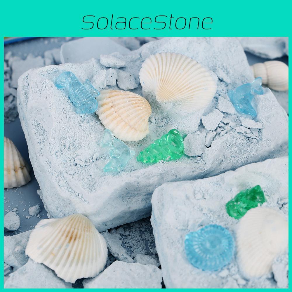 Marine Fossil Digging Toy With Handcrafted Shells For Kids Educational Play