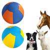 Herding Ball for Dogs with Protective Cover & Pump Interactive Dog Toy To Keep Them Busy Outdoor Training & Backyard Play