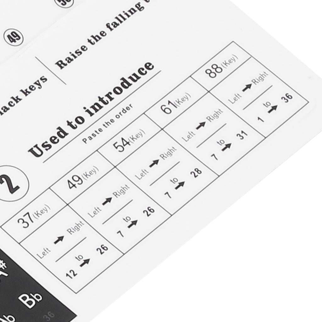 Pianonyckelklistermärke Elektronisk orgel Tangenter Genomskinlig Notation Klistermärke Dekoration