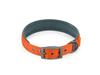 Customizable Neoprene Dog Collar: Comfortable, Non-Squeezing, Reflective Collar for Dogs of All Sizes