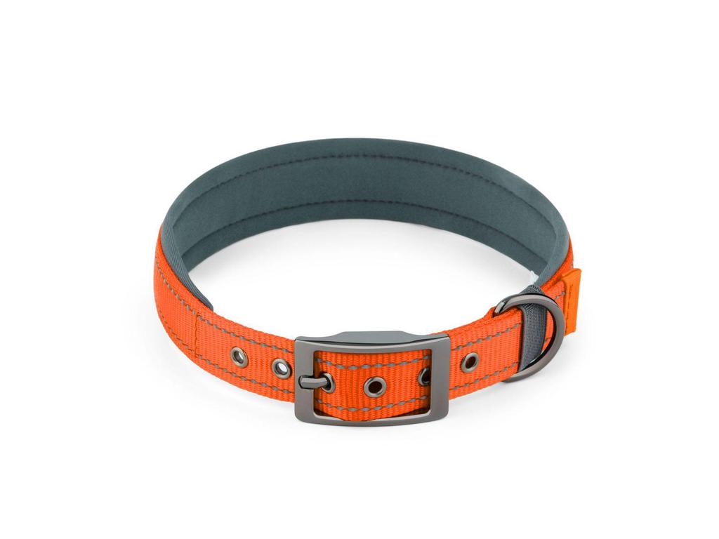 Customizable Neoprene Dog Collar: Comfortable, Non-Squeezing, Reflective Collar for Dogs of All Sizes