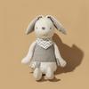 Soft Plush Rabbit Doll Baby Soft Long-Eared Rabbit Bed Doll Plush Toy  Kids Birthday Gift