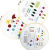 3pcs Embroidery Starter Kit Cross Stitch Kits Hand Embroidery Stitch Practice Kits Handwork For