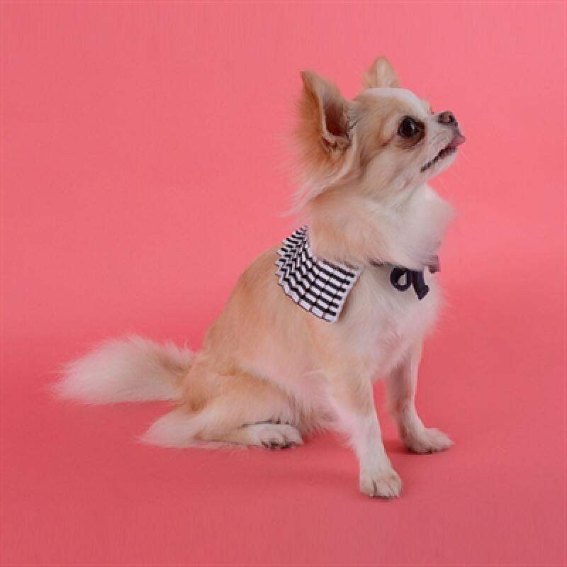 

Pumpkin pleated scarf black