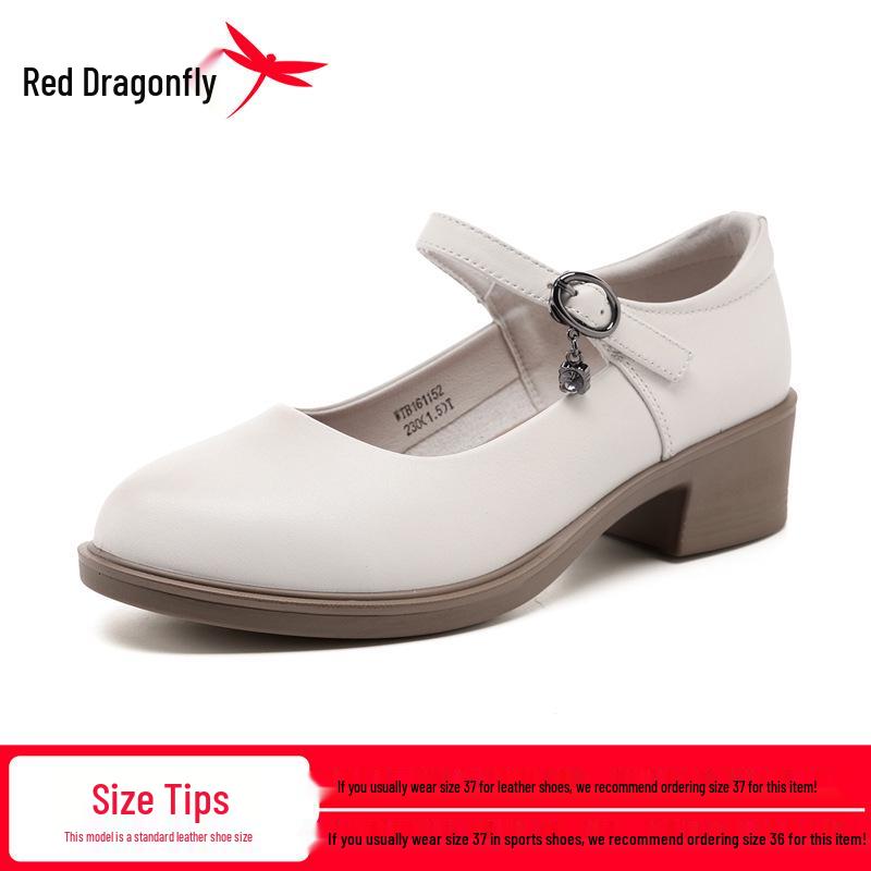 Red Dragonfly Women's Genuine Leather Mary Jane Loafers - Chunky Heel, Shallow Cut, Perfect for Spring and Autumn.