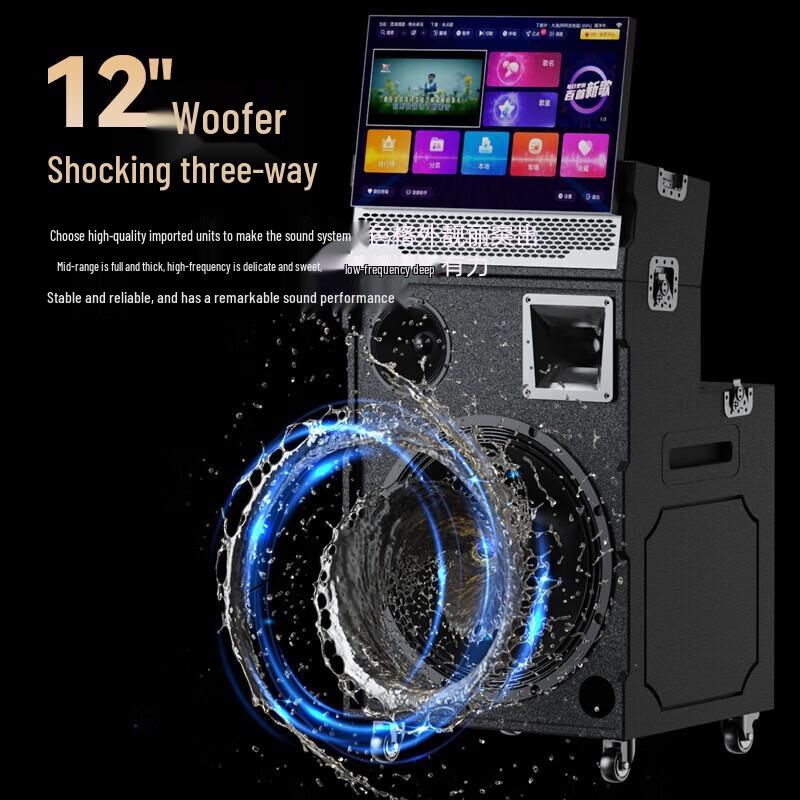 SAST WD-50 All-in-One Professional KTV & PA Audio System with Display