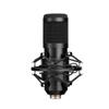 BM800USB Condenser Microphone for Gaming, Recording, and Video Conferencing