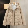 Autumn Winter Thicken Warm Parka Women Casual Sweety Solid Color Big Pocket Loose Hooded Coat Jackets Outwear