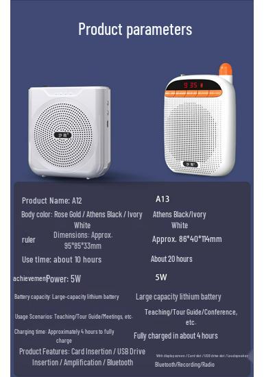 BeeSpeaker: Wireless Bluetooth Microphone for Teachers, Tour Guides, Lecturers - Classroom & Lecture Audio Amplifier