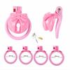 Pink Bow Chastity Cages Sissy Gay Two-tone Craft Chastity Locks Male Locks Pseudo Sissy Chastity Device Escape-proof Cheat-proof
