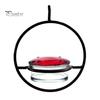 Clear Glass Bowl Bird Feeder Metal Hanging Hummingbird Feeders for Outdoors, with Red Garden Decor Lovers & Perch, Decorative Patio Deck Wild Feeding