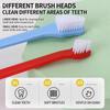 Pet Toothbrush, Cat And Dog Toothbrush, Pet Supplies, Toothbrush, Oral HygieneCentury House