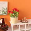 Miniature Food Toy Rose Plant Pot Model 1:6 Parts Bjd Dollhouse Dollhouse Playing House Diy