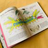 The World's Most Animals children's picture book, 3 volumes of popular science about strange animals in the world in English