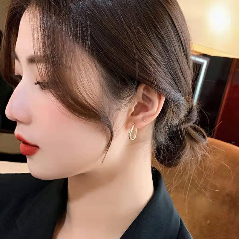 2021 Trendy Autumn & Winter French Ear Clips: Elegant, High-End, Niche Earrings for Women.