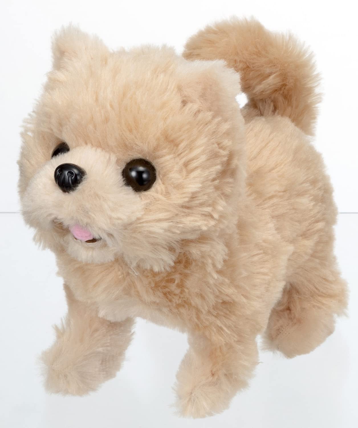

IWAYA Piccoline Pomeranian Battery Operated Stuffed Toy 3324-1