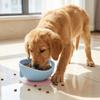Creative Silicone Suction Cup Pet Bowl Stable Soft Slow Food Bowl Anti-spill Food-grade Cat Food Water Bowl For Cats