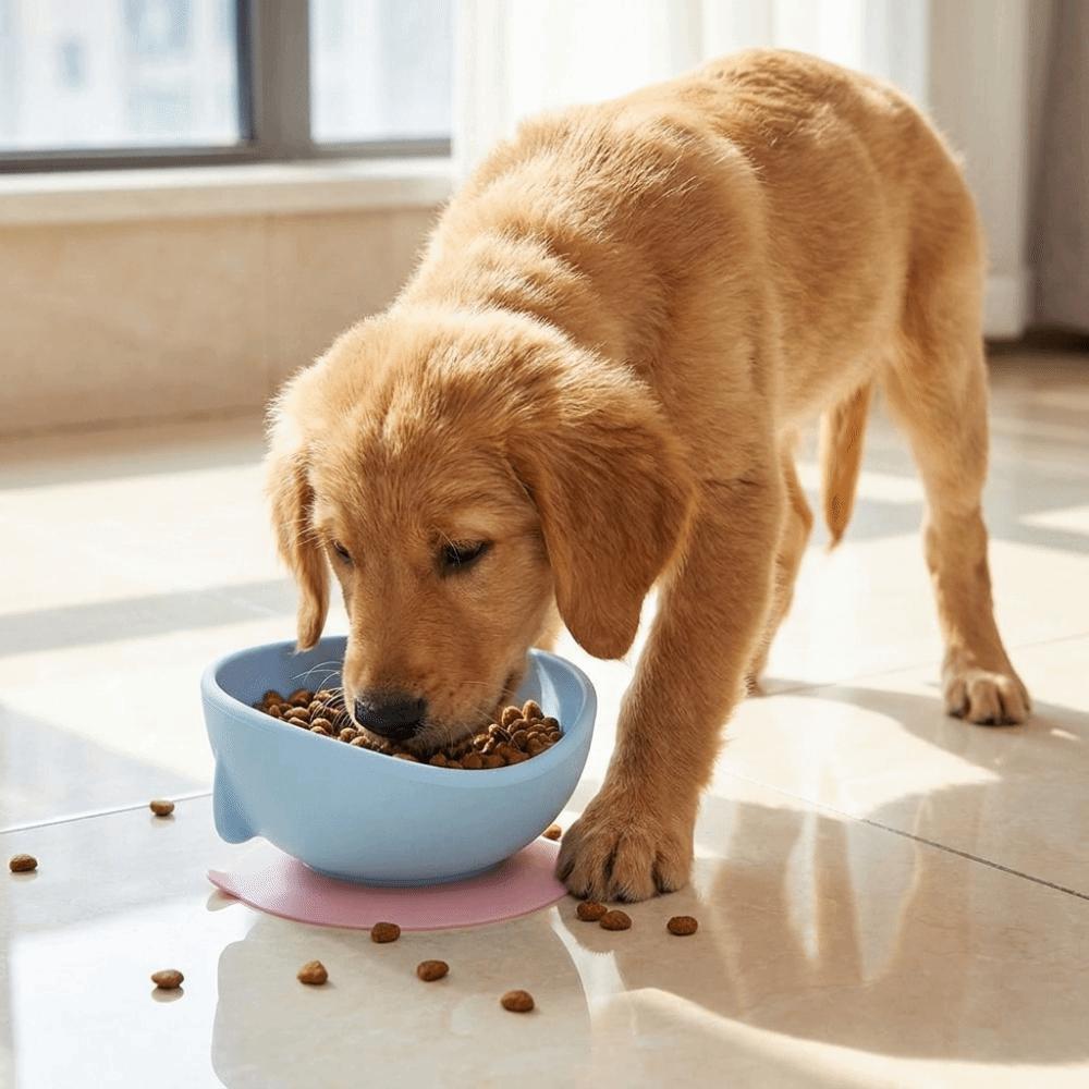 Creative Silicone Suction Cup Pet Bowl Stable Soft Slow Food Bowl Anti-spill Food-grade Cat Food Water Bowl For Cats