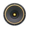 10" Full-Range Speaker with Leather Surround & Aluminum Frame. Features 3-Band EQ, Ideal for Vocals & Instruments, Perfect for Tube Amps.