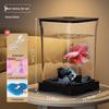 Creative Betta Fish Ecological Desktop Tank with Night Light Decoration.