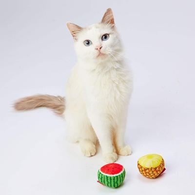 Petio Cat Toy Tropical Fruit Ball Set of 2 Pineapple/Watermelon