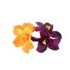 Haarspange, Urlaub am Meer, Orchidee, elegante und charmante Blumenspange, vielseitiges DIY-Accessoire für Mädchen