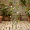 Metal Trellis with Bell Wrought-Iron Look Climbing Plant Support