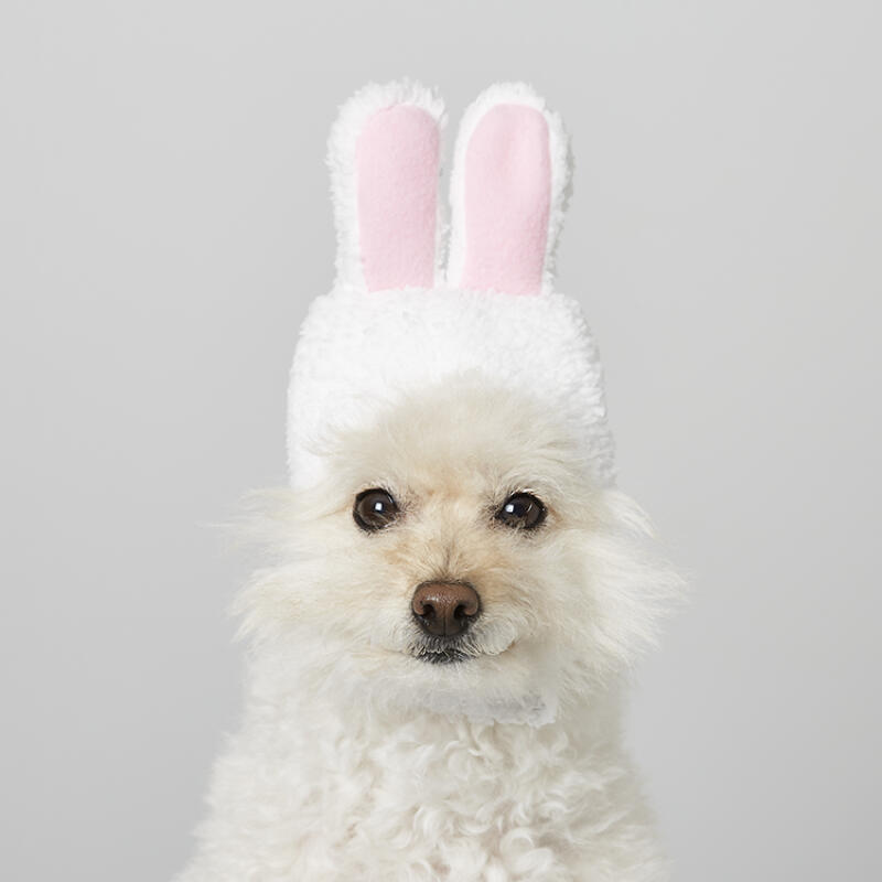 

PET Hat White Rabbit (26033503)