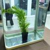 Glass Pot Fish Tank Hydroponic Planting Basket  for Tanks Aquascape Decorations