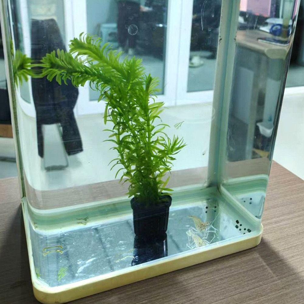 Glass Pot Fish Tank Hydroponic Planting Basket  for Tanks Aquascape Decorations