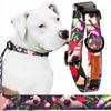 CLOTH Collar with Buckle for a Small Dog, Terrier, /, 20 , Ukory