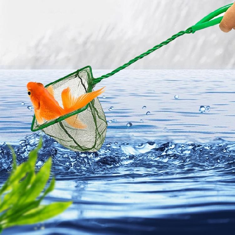 10Pieces Aquariums Maintenance Net for Fish Catching and Waste Removal Stable and Efficient Fishing Net with Fine Mesh