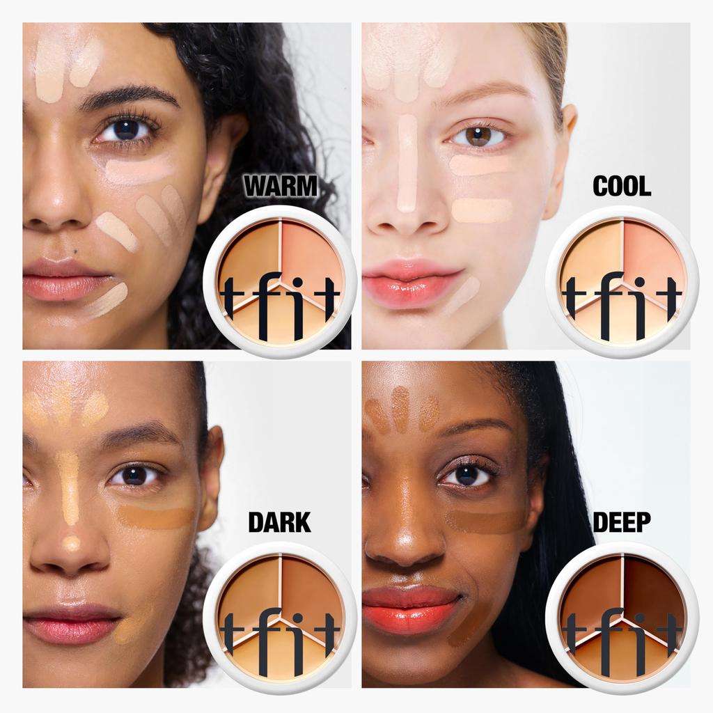 TFIT Cover Up Pro Concealer 15g Three Colors Pores Dark Circles SNS Hit Product Compact 03 Cool / / / / / / / All-in-one