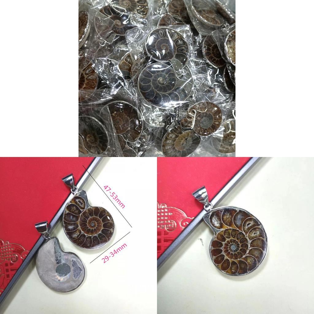 Shell Pendant With Polished Shell Beads For Style Jewelry