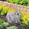 1/3pcs Easter Rabbit Yard Signs Spring Yard Stake Decorative Garden Stakes for Indoor Outdoor Courtyard Lawn Decoration