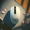Mouse Gamer Sem Fio de Modo Duplo Razer Orochi V2