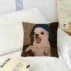 Cute Dog Funny Meme   Pillow Cushion Cover Pillowcase Living Room Sofa Home Decor Customized