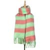 Striped Winter New Thickened Warm Scarf Women's Simple High Sense Versatile Fashion Fringed Scarf Shawl