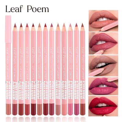 Vodotěsná Dlouhotrvající Dřevěná Matná Tužka na Rty Obrys Rty Make-up Přírodní Rty Nude Růžová Tužka na Rty Obrys Rty Kontura Make-up 12 barev