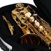 EFAS INNO FUCHSIA Fiber Case for Alto Saxophone (BAGS)