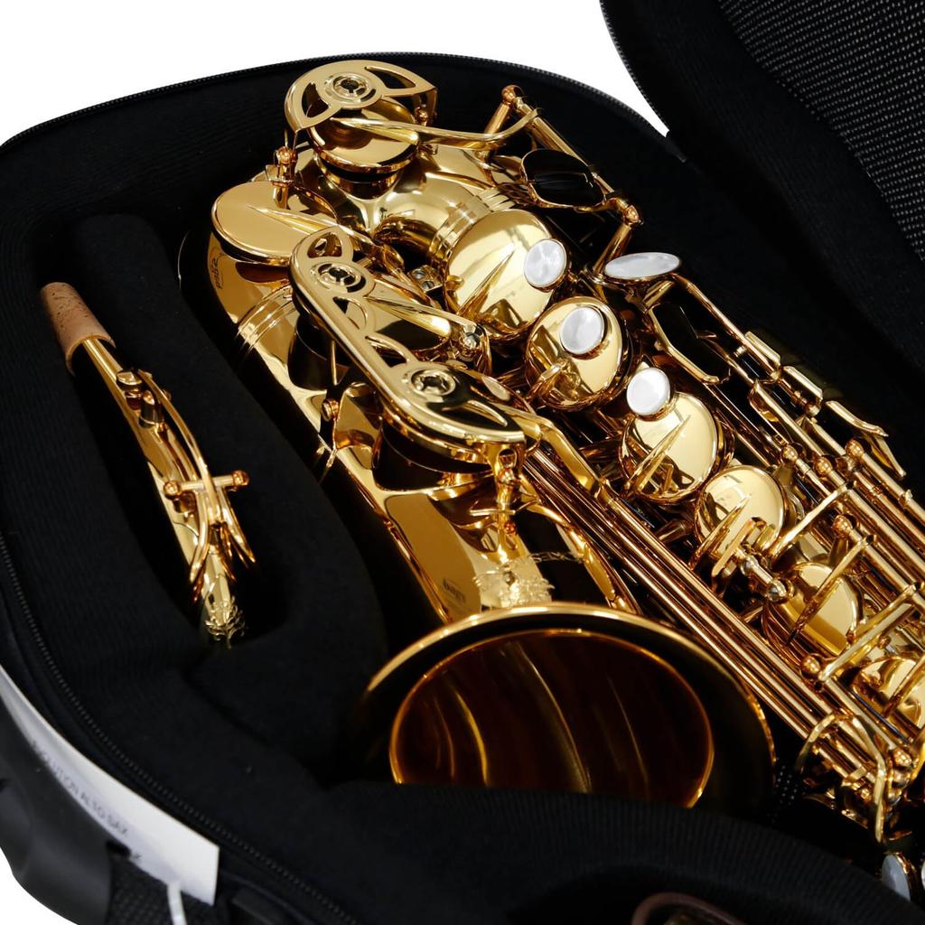 EFAS INNO FUCHSIA Fiber Case for Alto Saxophone (BAGS)